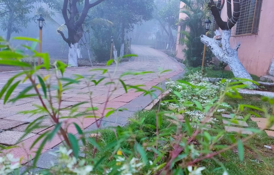 Ashok Farms in Neral