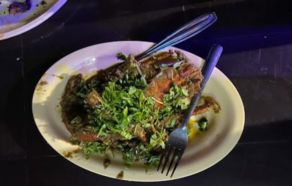 Bhogwal Farm House & Villa