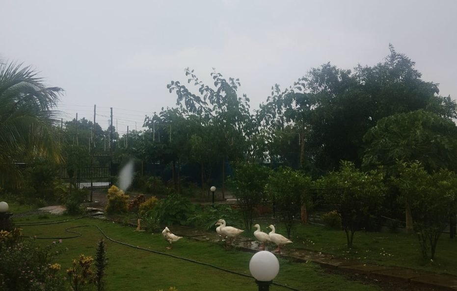 Lake View Resort & Villa