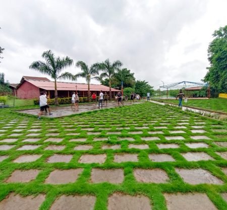 Mishita’s Element Resort