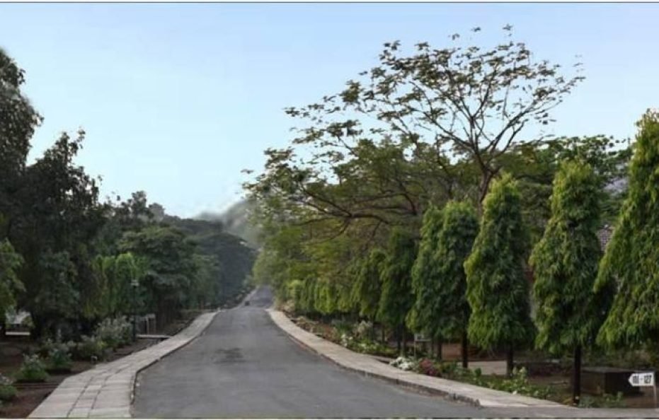 Modi’s Resort – Wanjale Karjat Farmstay