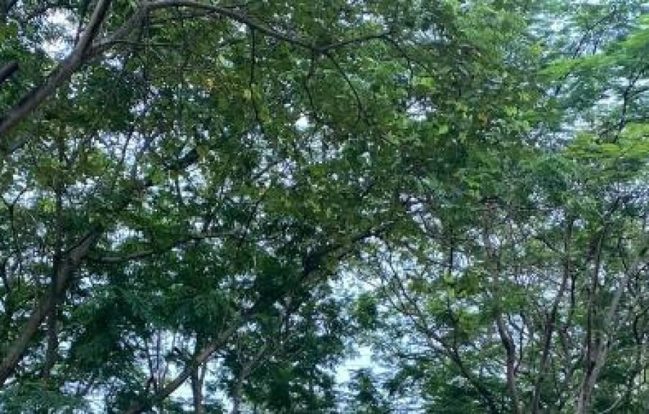 Modi’s Resort – Wanjale Karjat Farmstay