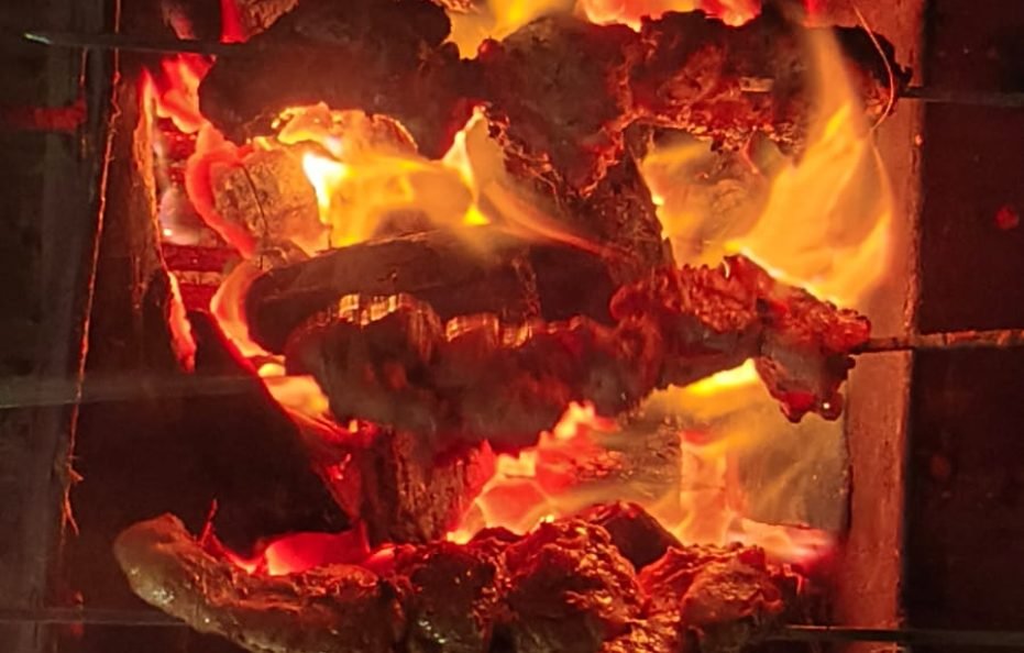 WildCraze Farmhouse & Resort in Vangani