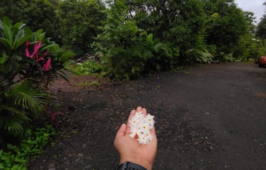 Welcome – The Bhoir Farms Bhoirwadi Karjat Farmstay