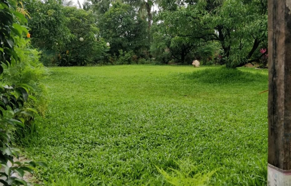 Welcome – The Bhoir Farms Bhoirwadi Karjat Farmstay