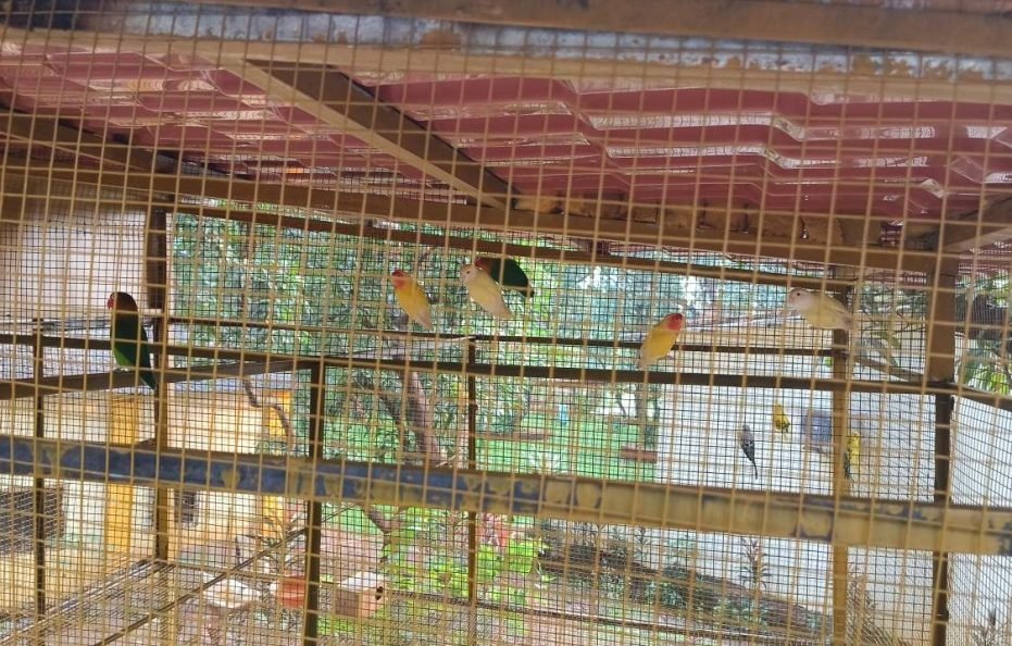 Gopi Resort in Neral