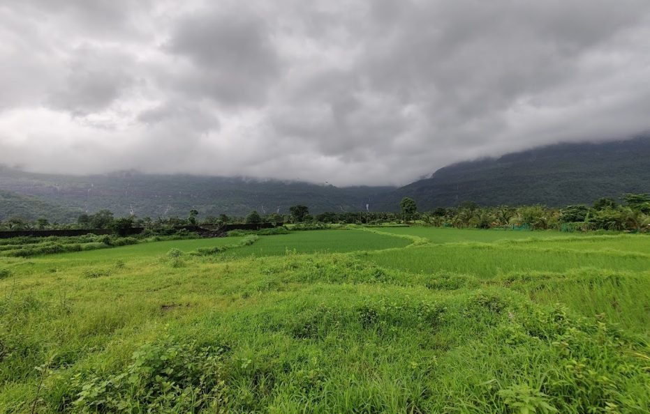 Kingston Farm in Karjat
