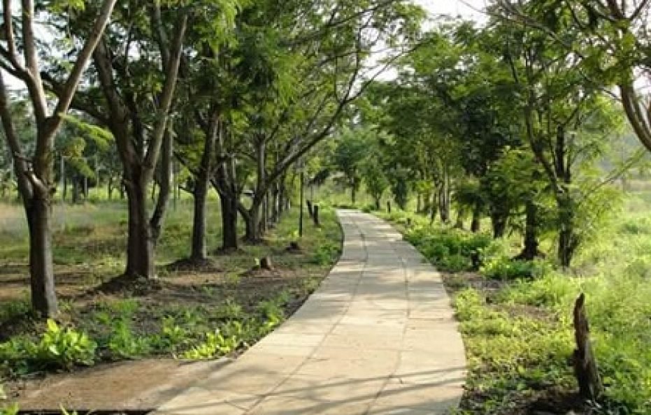 Modi’s Resort in Karjat