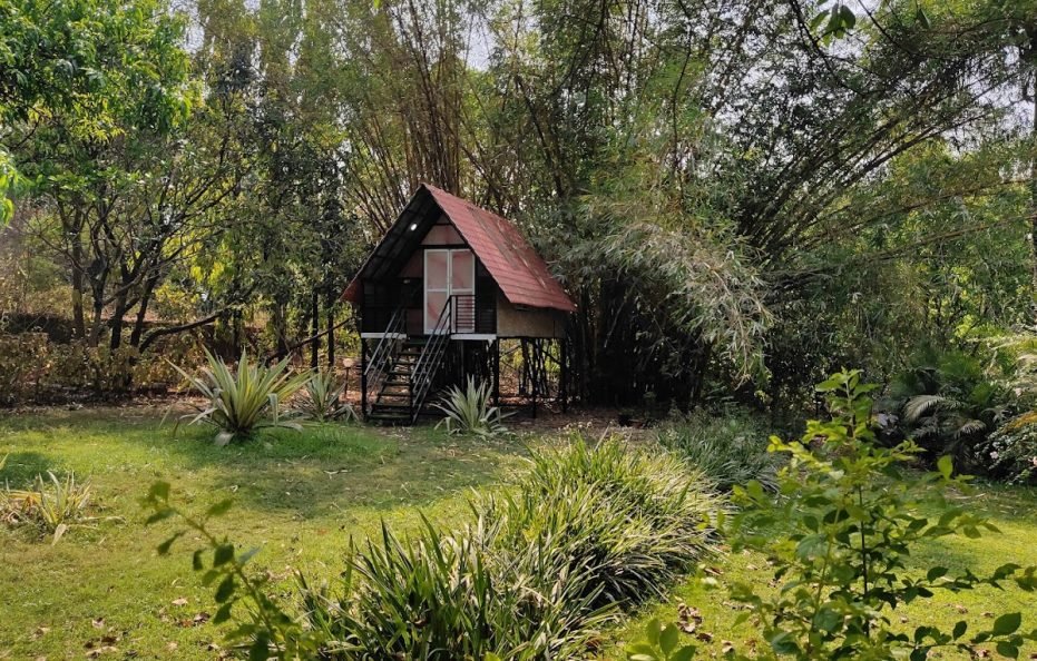 Rosemary Farm in Neral