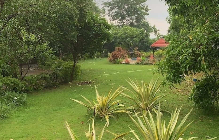 Rosemary Farm in Neral