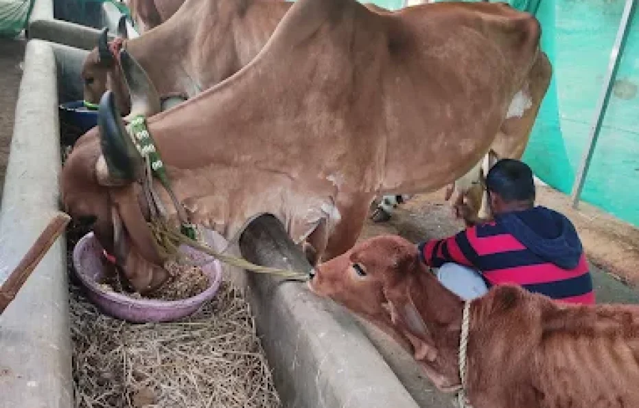 Attra’s Holiday & Camping Farms Karjat