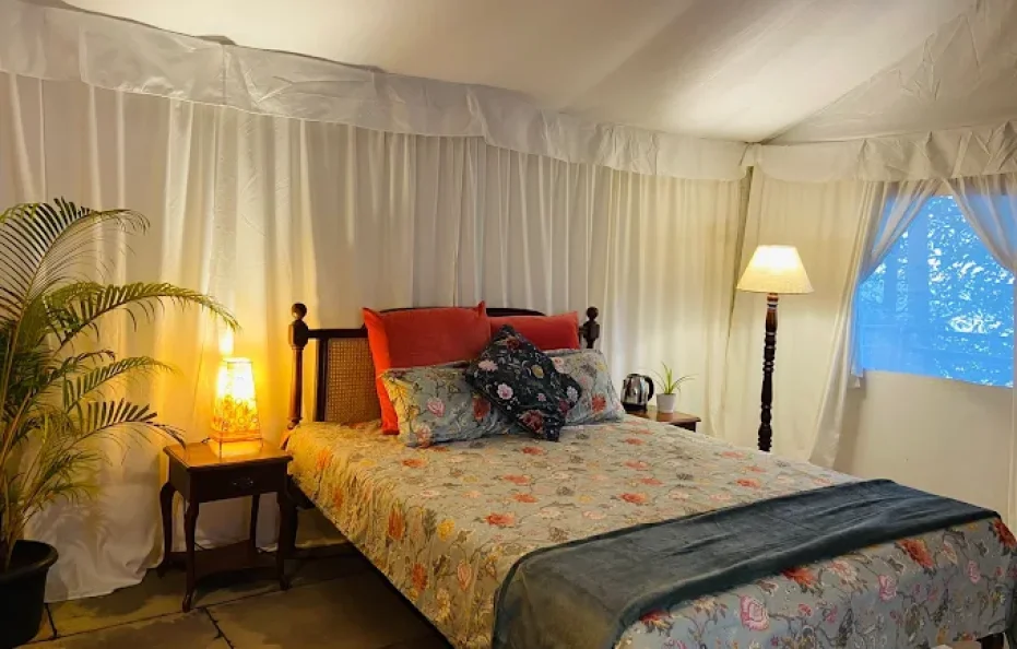 Divine Roots Luxury Stay Neral