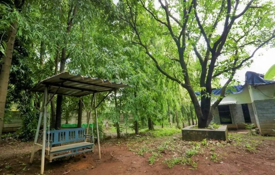 Forest Falls Resort Vangani