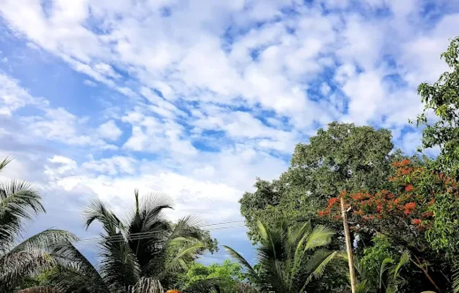 Greenvilla Resort & Shahu Farm Neral