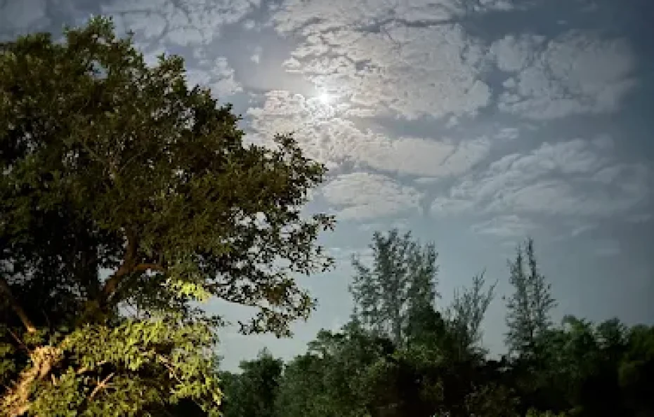 Kesula River View Villa & Camping Badlapur