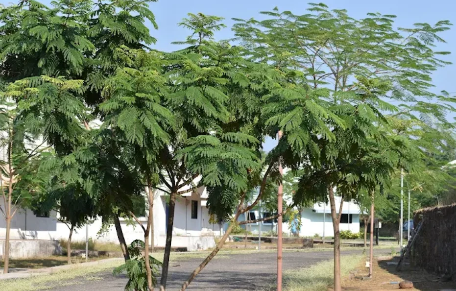 LossaPa Resort Neral