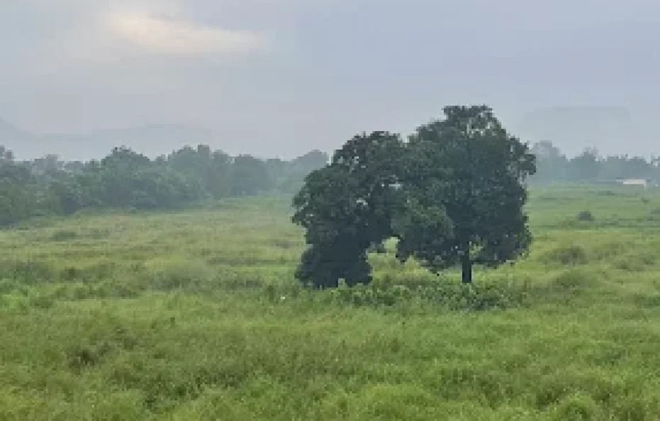 Mojo Farmhouse Karjat