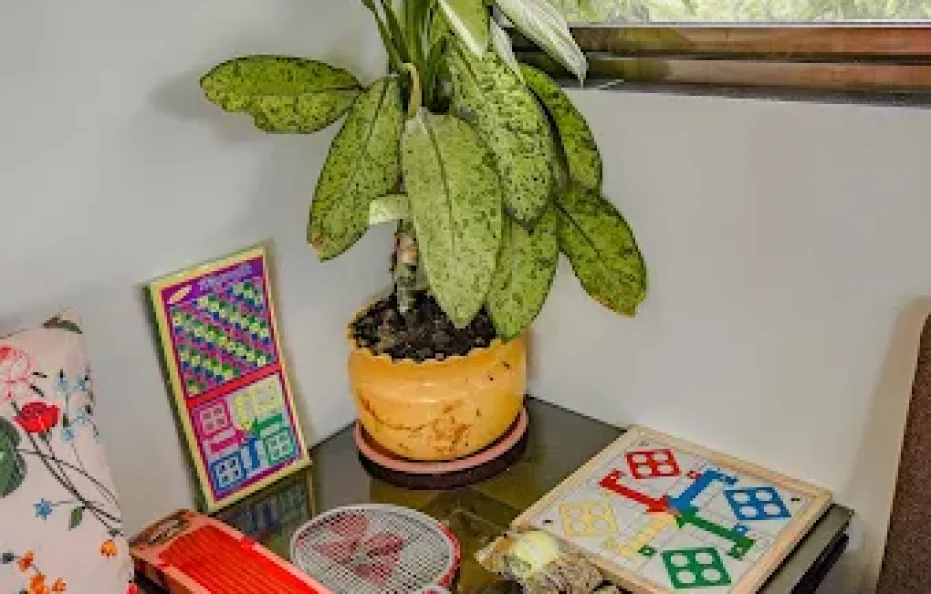 Ninad Homestay Karjat