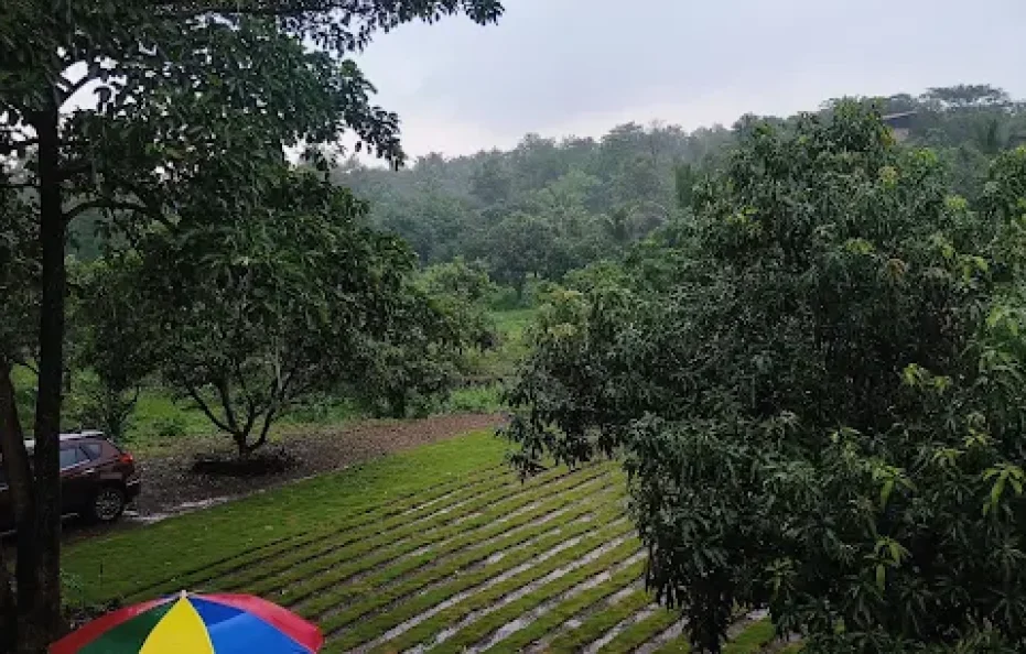 Nirmal Farm Badlapur