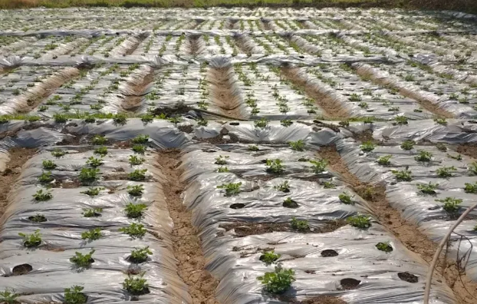 Nisarg Nirmaan Mukund Baug Agro Tourism and Resorts Neral