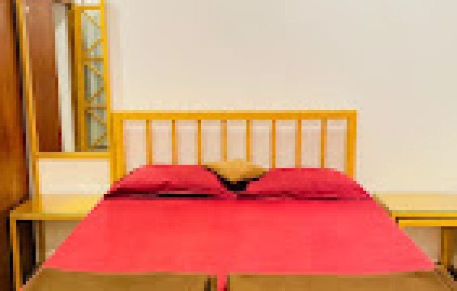 Palmquist Villa Neral