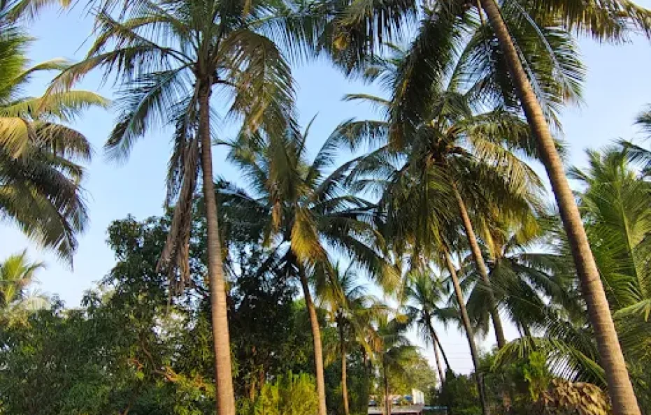 Paradise Farms Agro Tourism Karjat