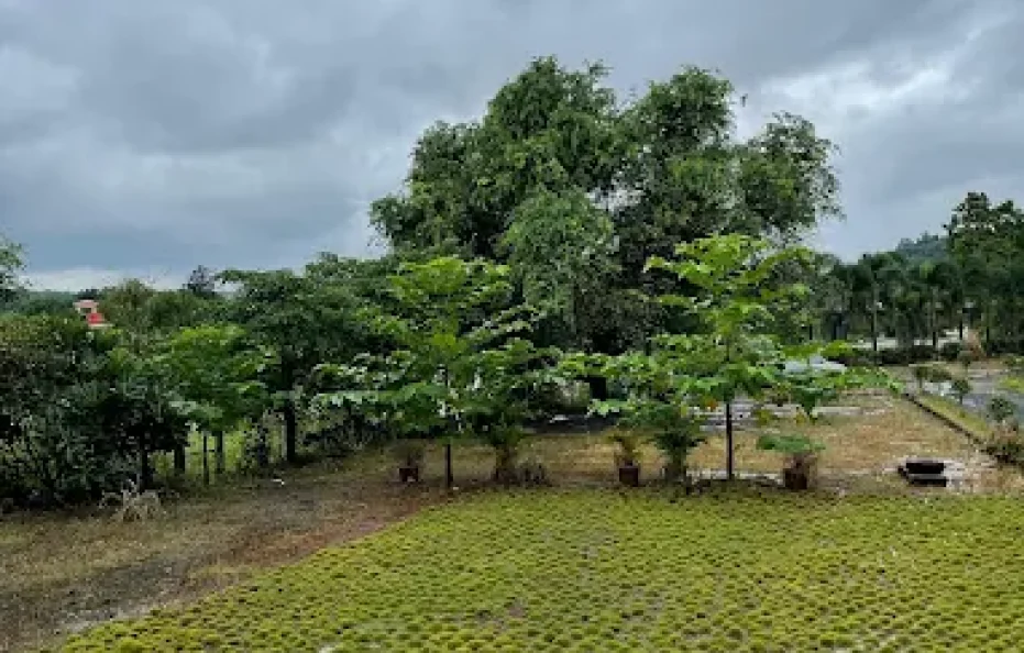 Riverside Farmhouse Badlapur