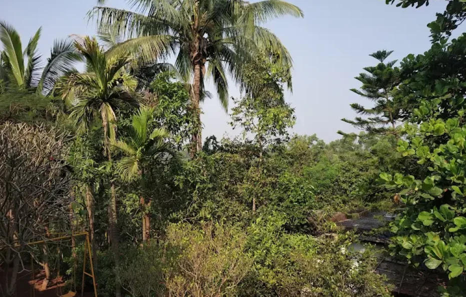 Sai Darshan Farms Badlapur