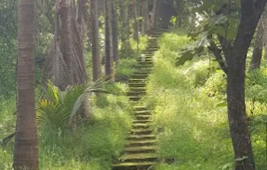 Sai Darshan Farms Badlapur