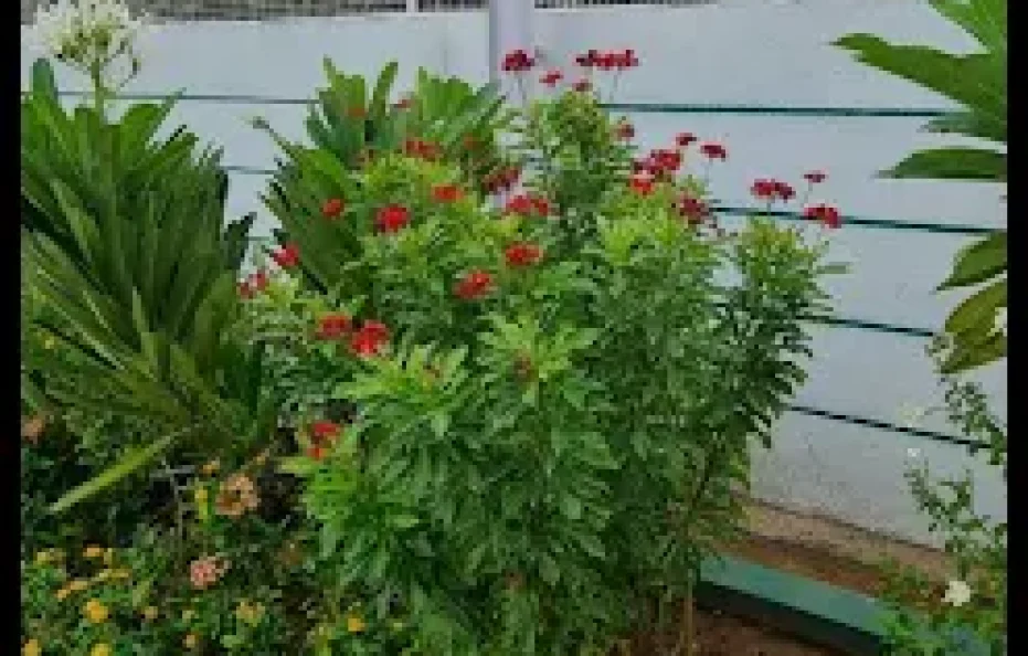 SnehRaj Farmhouse Badlapur