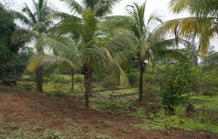 Swapna Purti Farm Badlapur
