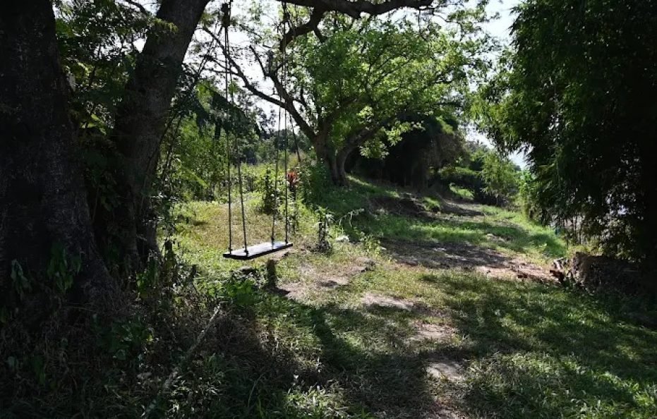 Tenpy Tiny Obelix Karjat