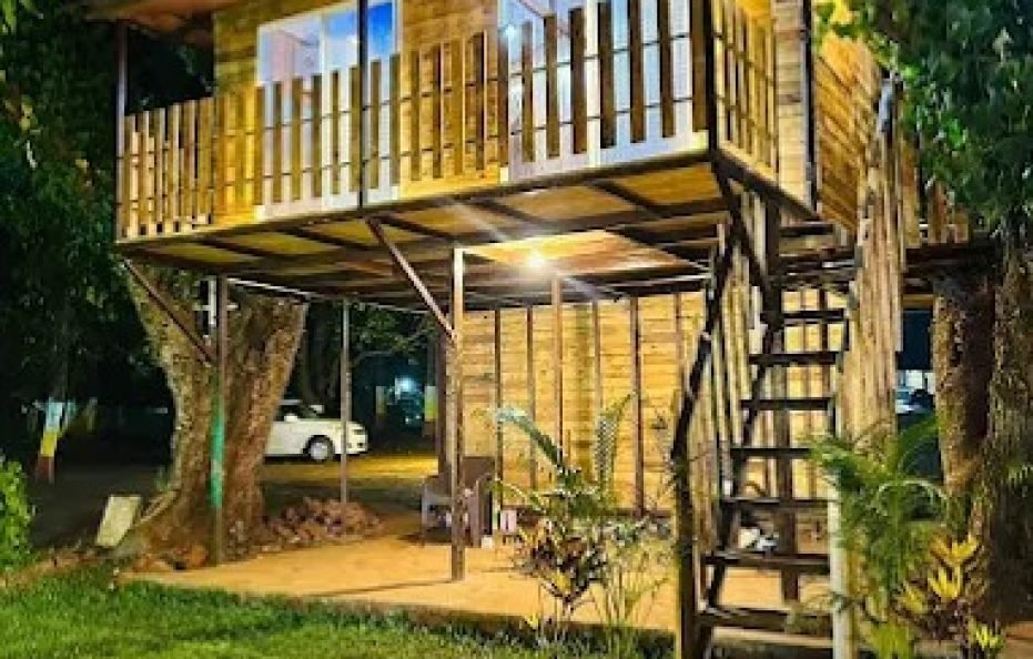 Vikkis Village Farm Karjat