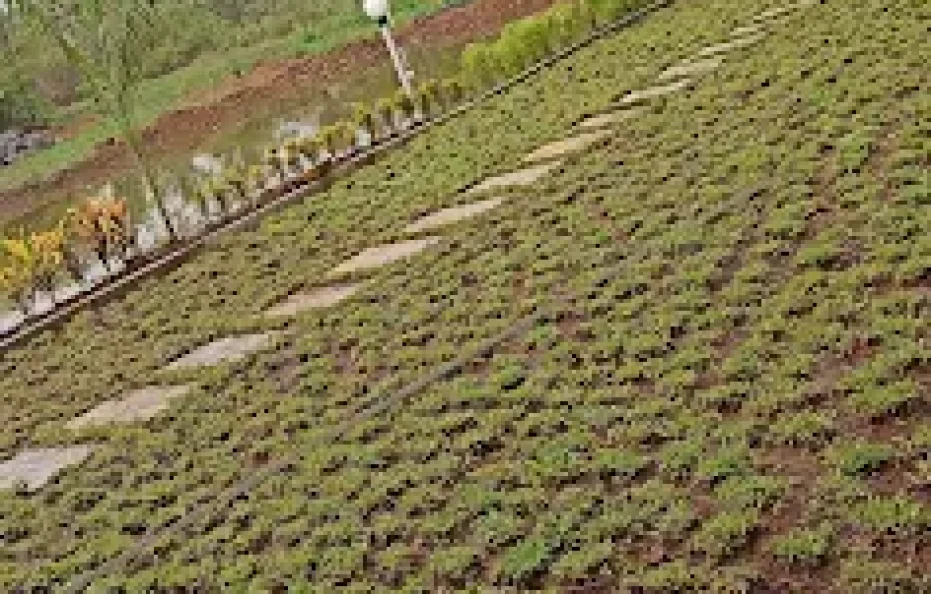 Woodland Farm Stay Karjat