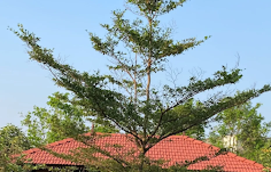 Prithvi Villa Karjat