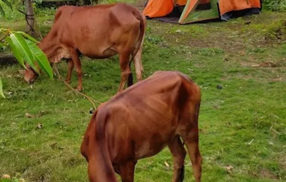 Bal Digambar Resort Karjat